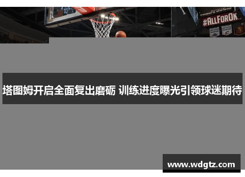 塔图姆开启全面复出磨砺 训练进度曝光引领球迷期待